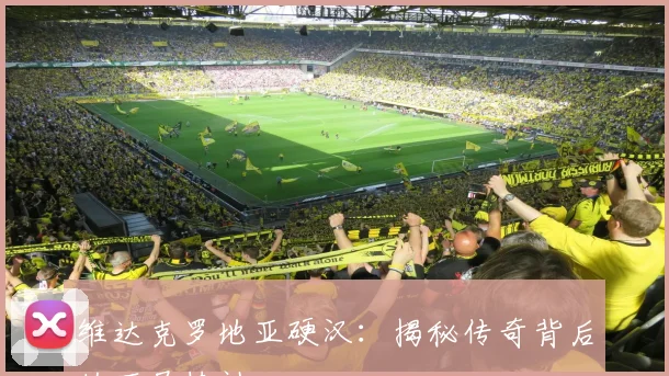 维达克罗地亚硬汉：揭秘传奇背后的不屈精神