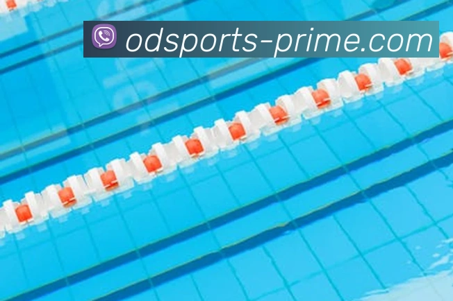 OD体育全站App